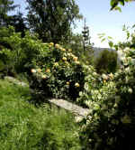 DSC00041.jpg (58811 bytes)